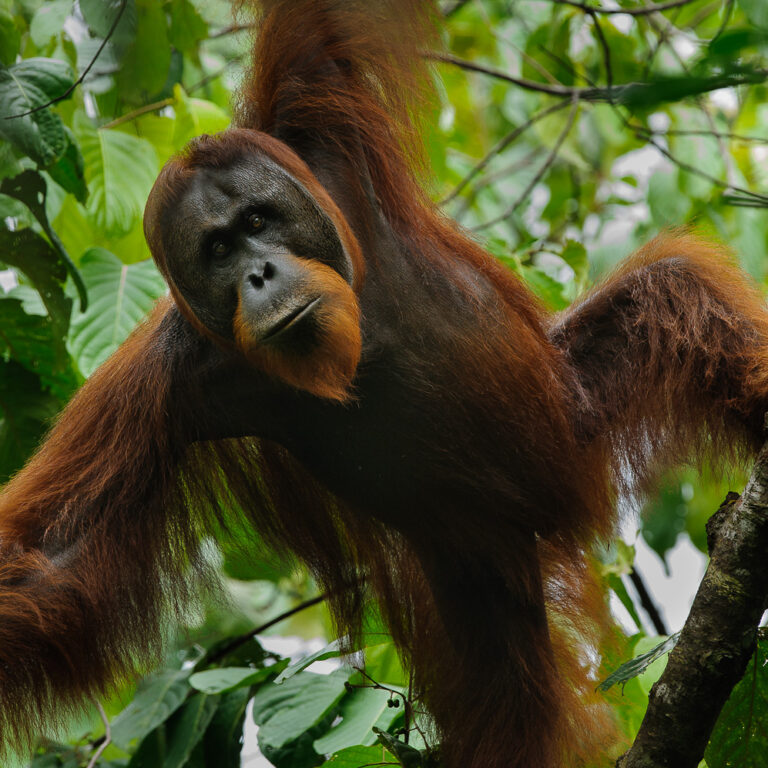 On Assignment: Batang Ai, Sarawak